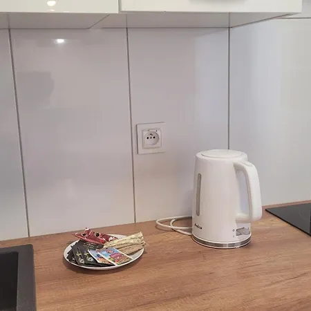 Przestronny Typu Studio, Garaż Gratis