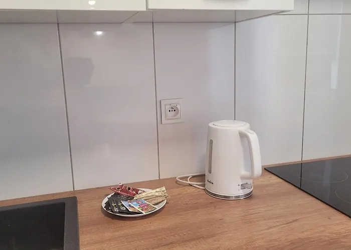 Przestronny Typu Studio, Garaż Gratis